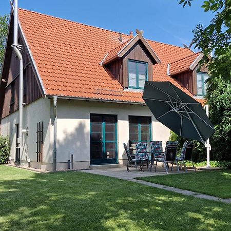 Ferienhaus Hase Villa Burg  Exterior photo